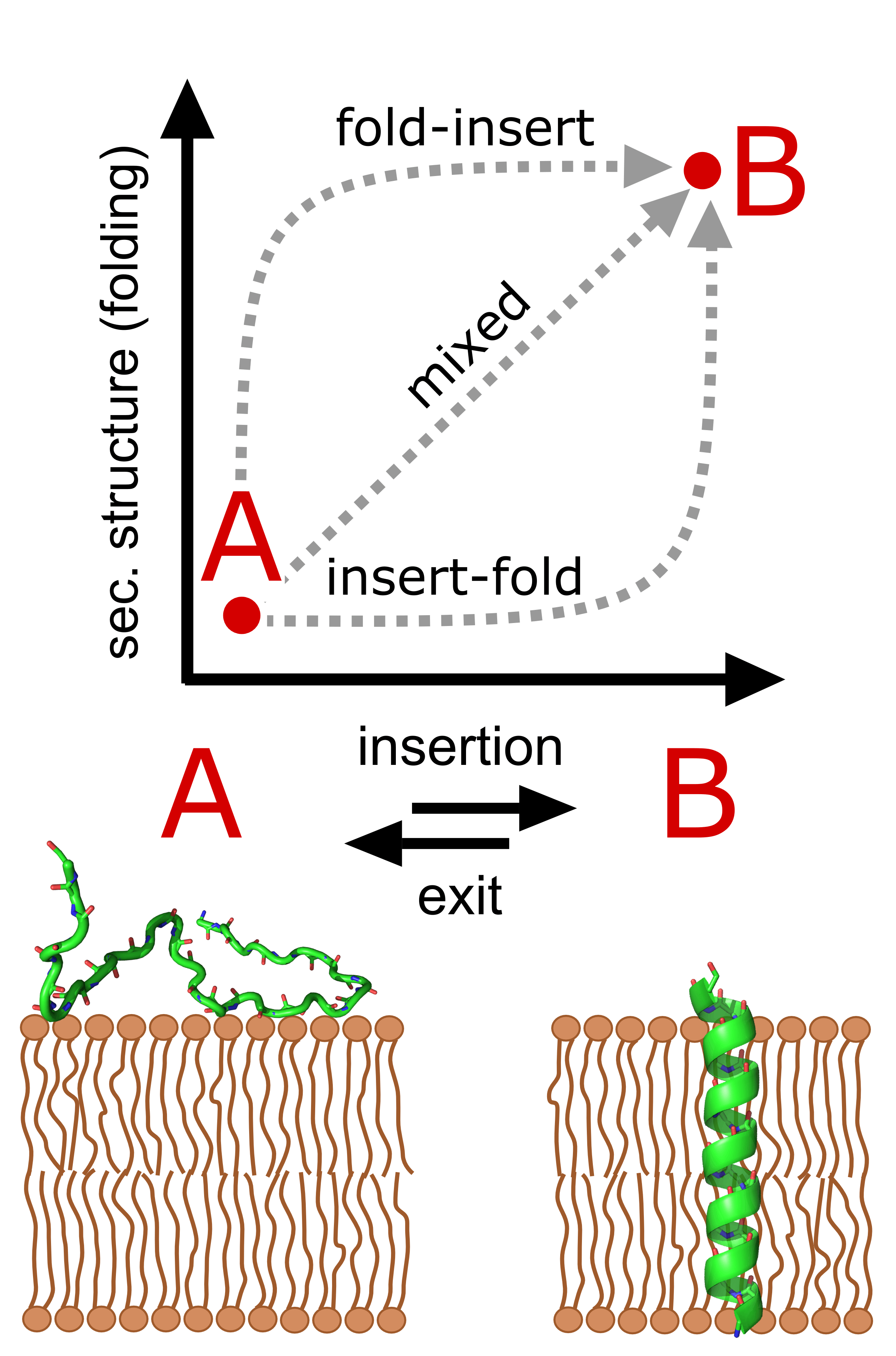 Research - Baiz Group